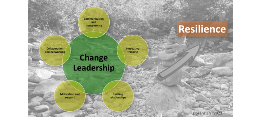 💠 Change leadership for more resilience